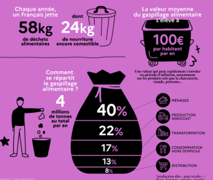 Infographie - Le gaspillage alimentaire